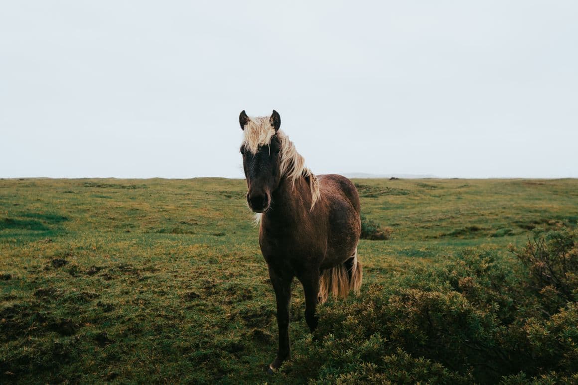 test How User Behavior Shapes Win Products10